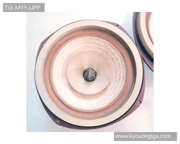 北京羽毛球队的盯防革新之路与战术演变全解析