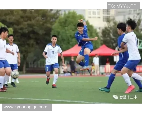 南京足球队的拼搏历程与荣耀时刻全景回顾