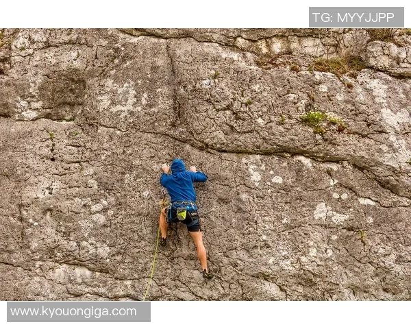 2026攀岩个人能力排行榜：上海攀岩队位居第1名