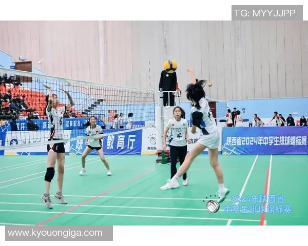 最新排球配合TOP10：西安排球队领跑